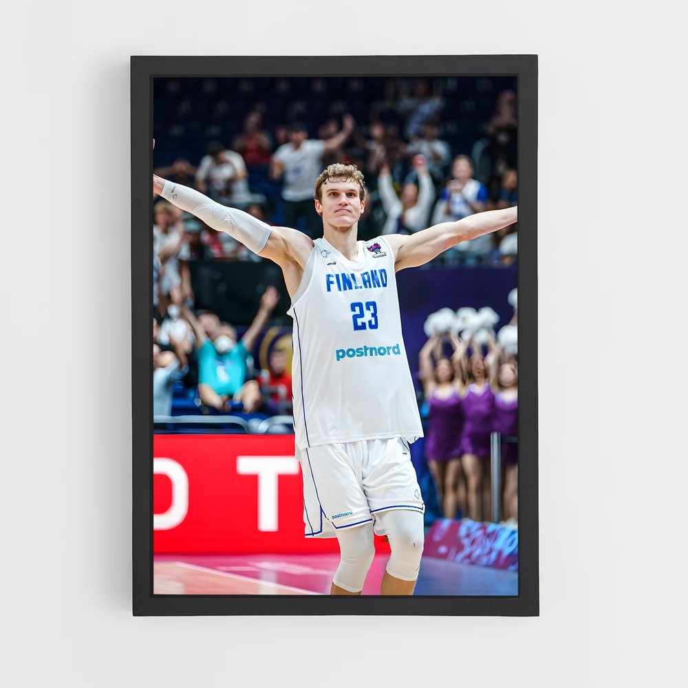 Poster Les Gardiens du Ciel – affiche Basketball (vue 2)